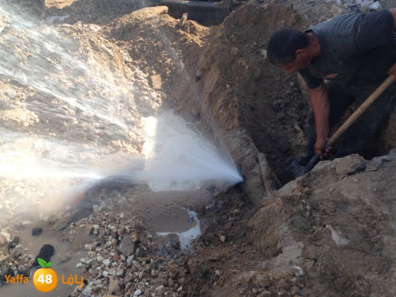 onbob samekh 7et (1).jpg